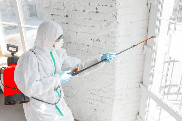 Best Environmental Consulting for Mold Prevention  in Brightwood, VA